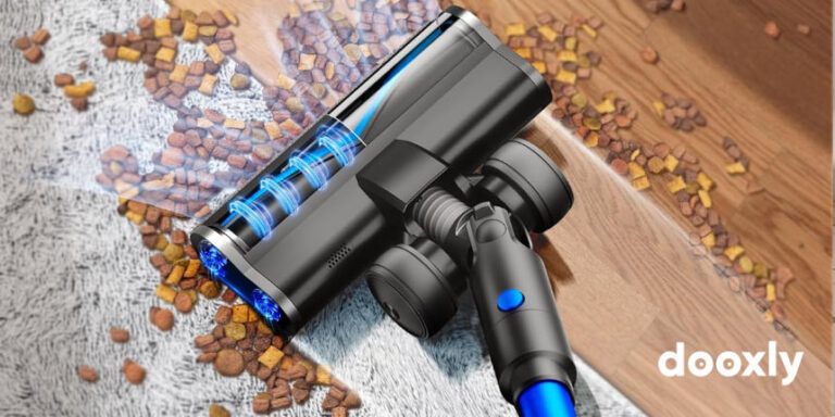 Read more about the article FABULETTA FSV006 Review